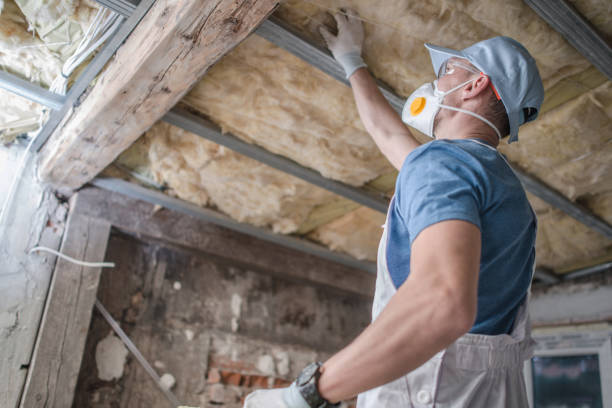 Best Insulation for Specific Applications in Elm Creek, TX