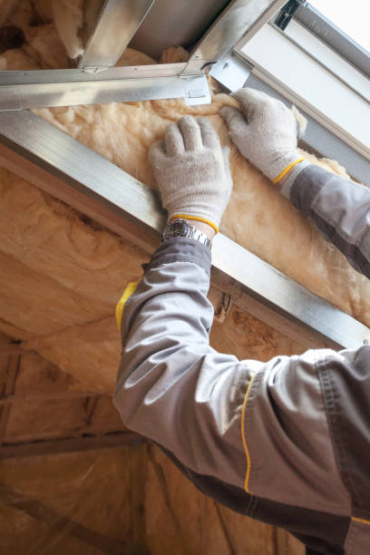 Best Energy Efficiency Insulation in Elm Creek, TX