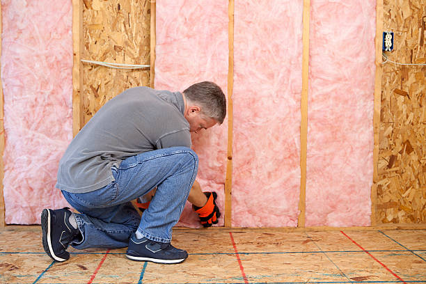 Best Commercial Insulation in Elm Creek, TX