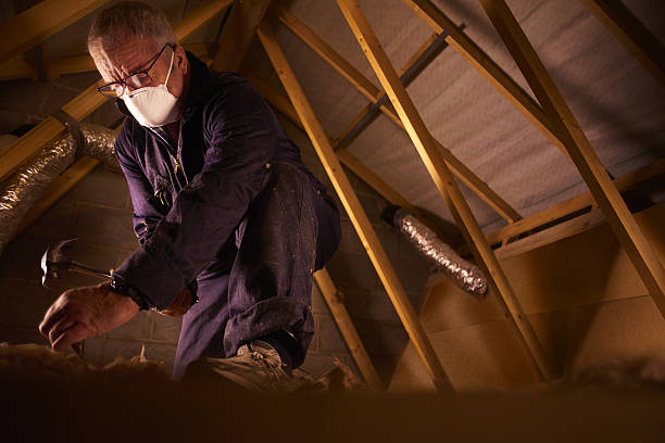 Best Blown-in Insulation in Elm Creek, TX
